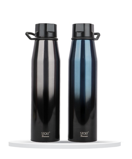 [Mahi-01] MAHI - Insulated Bottle